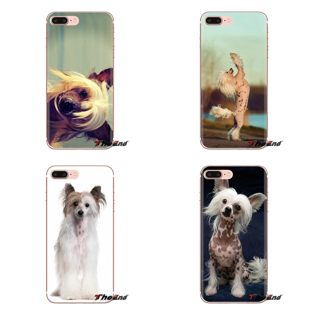 Собака породы Китайская хохлатая для iPhone XS Max XR X 4 4s 5 5S 5C SE 6 6S 7 8 Plus samsung Galaxy J1 J3 J5 J7 A3