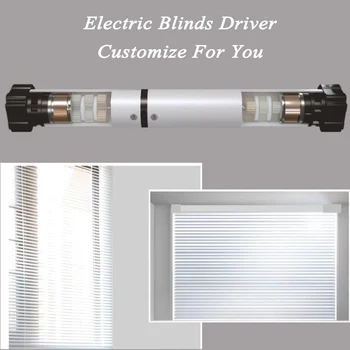 

Smart Roller Shutter Tubular Blinds Motor Remote Control Sunlight Adjustment Customize for every customer