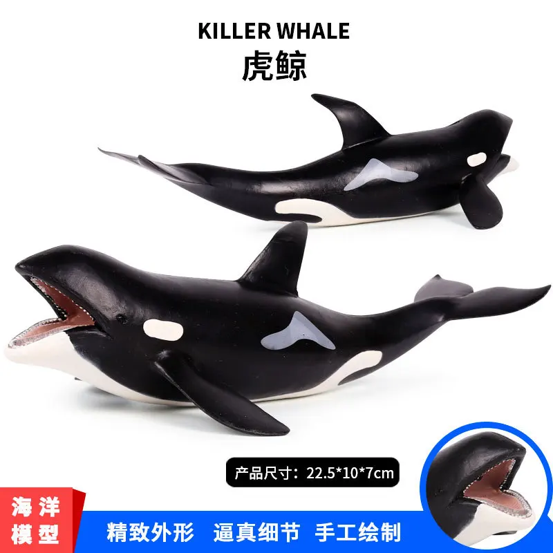 

Children Cognitive Model Marine Organism Animal Model Educational Toy Killer Whales Model Toy Static Garage Kit Decoration