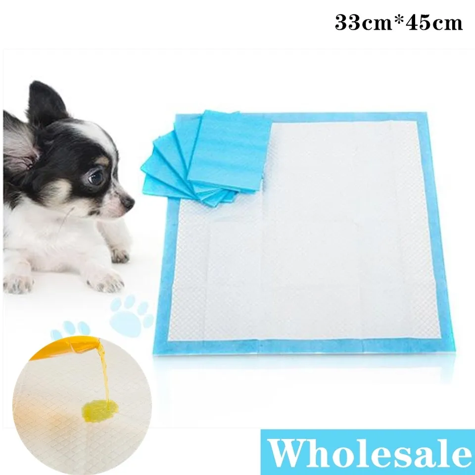 house training pads for dogs