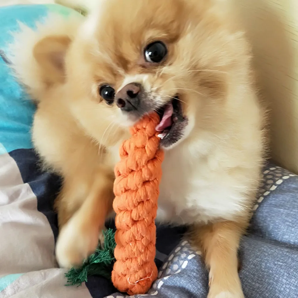 JCH81026681B_20181026103450195