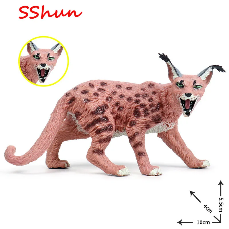 10193026977_1464955482