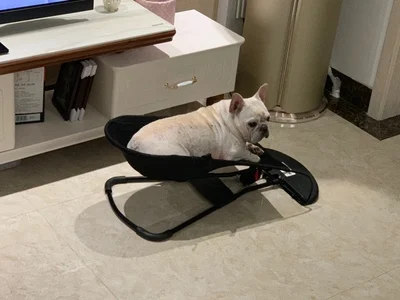 Собака и кошка кресло-качалка ковш кровать портативный гамак вентилируемая сетка ткань грязная качалка кроватка для кота Кошка Домашняя подушка