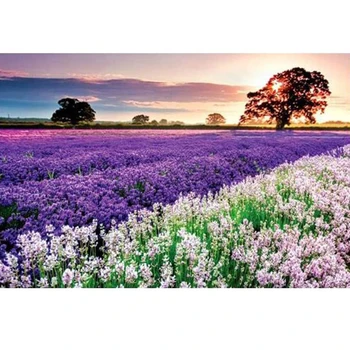 

1000 Pieces Paper Jigsaw Puzzles Lavender Picture Adults Assembling Toys 75 x 50cm Travel Landscape Puzzle Home Wall Decoration