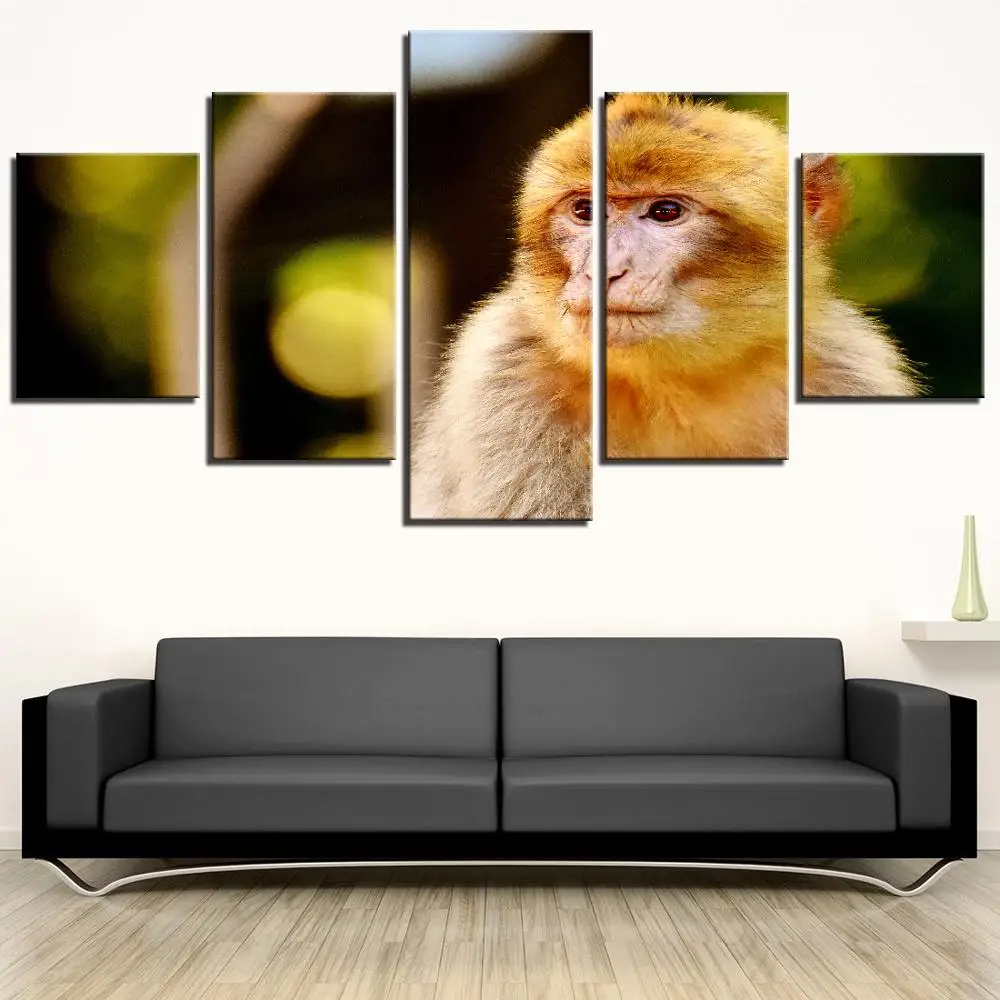 5 Pieces Monkey Canvas Painting Animal Wallpaper Gorilla Posters Forest Pictures For Home Room Decor Artwork Modular Stickers | Дом и сад