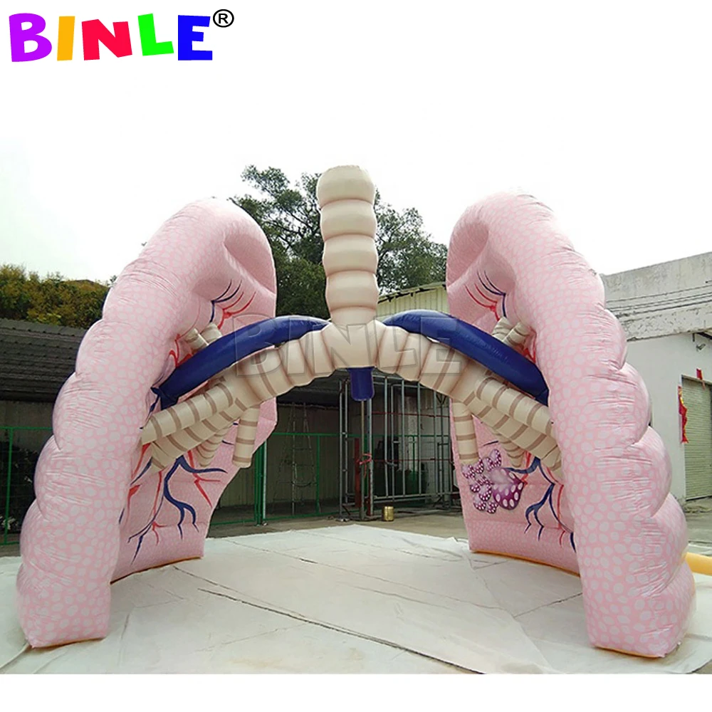 맞춤형 대형 풍선 폐 모형, 학교 교육 및 의료 행사 전시용 풍선 인체 장기 모형