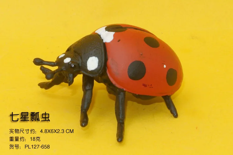Насекомое Coccinella Septempunctata, жуки, новая жена, хуа да цзе статическая модель насекомое животное модель игрушки