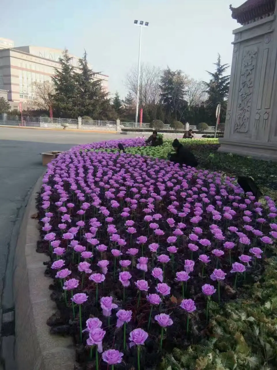 Светодиодный фонарь с цветными розовыми цветами, светодиодный фонарь мечты, открытый квадратный ландшафтный парк, светящиеся Праздничные огни 20 шт./компл - Цвет: Фиолетовый