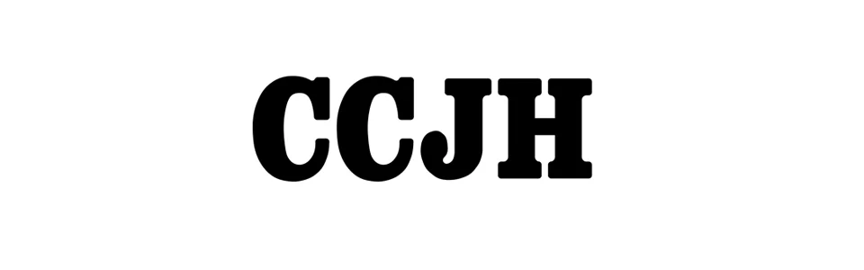 CCJH BONI Barn Door - Home Improvement Store