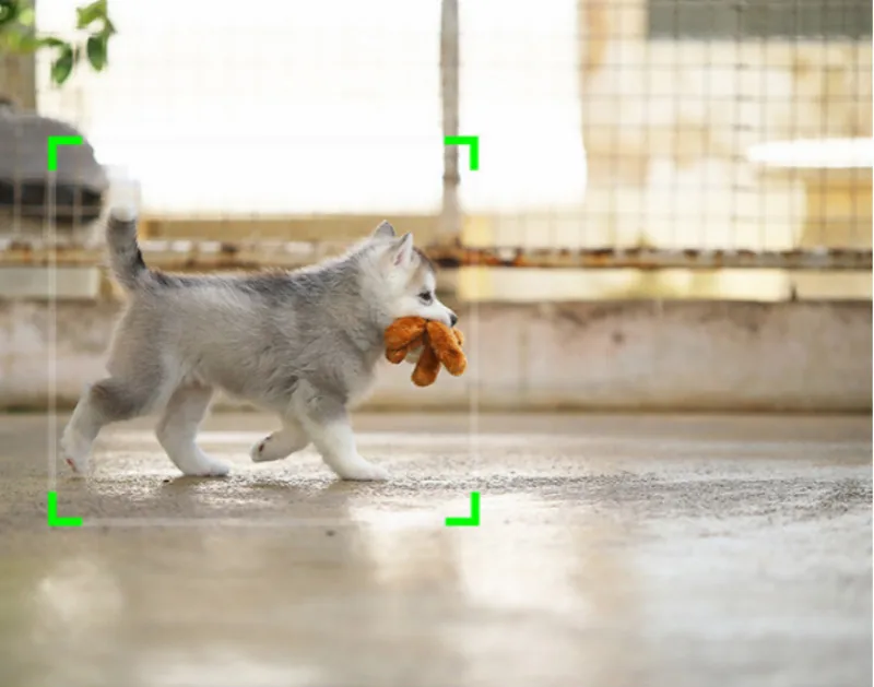 1604635911(7)_meitu_15