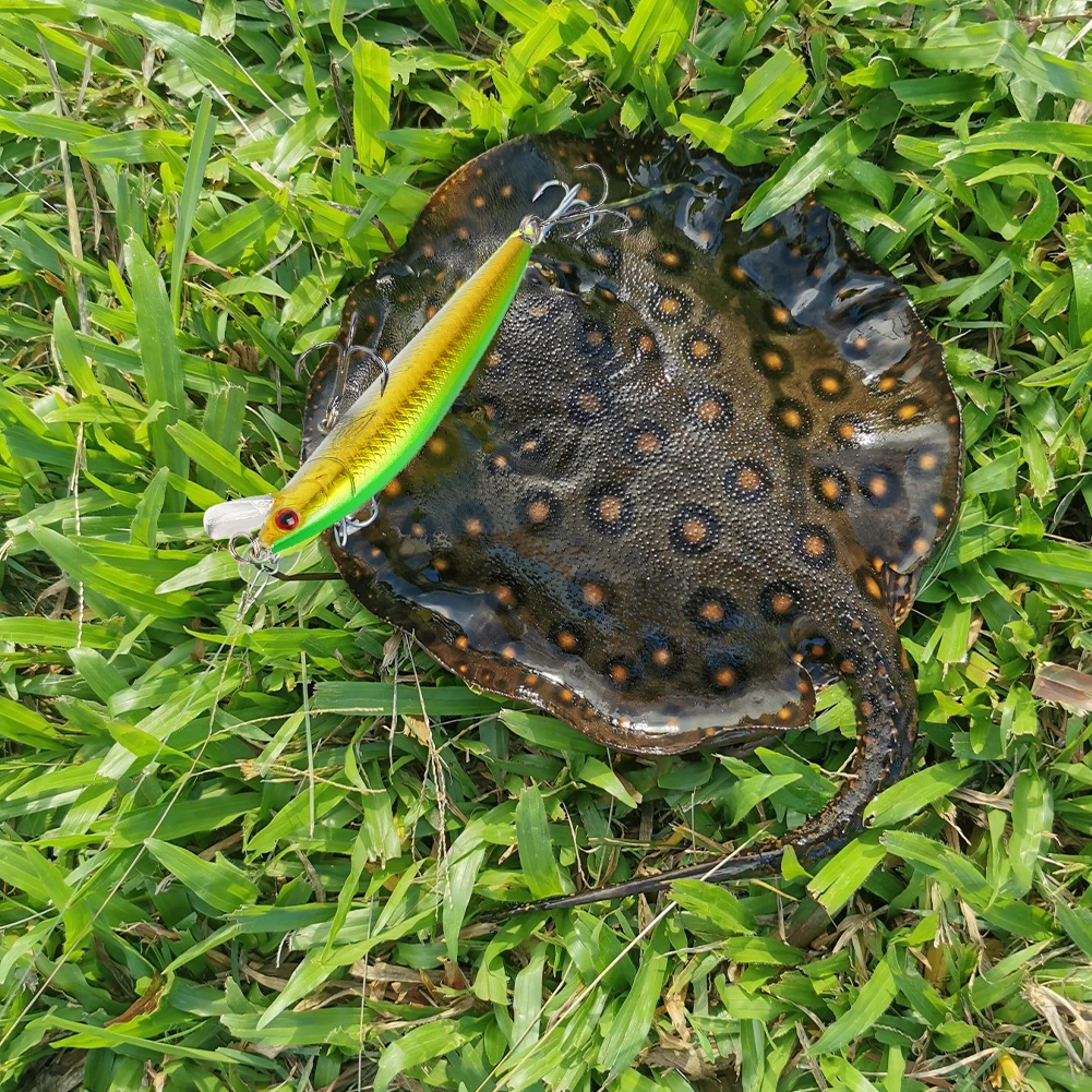 Fishing Lure 7g 10cm Trout Lure 3D Eyes Jigging Lure Swimbait Wobblers Crankbait Hard Lures Plastic Fishing Tackle New Hot