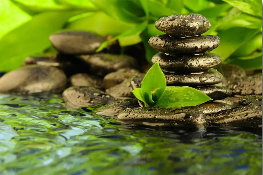 

ZEN - Buddhism Bamboo Nature Art Silk Poster Print 24x36inch