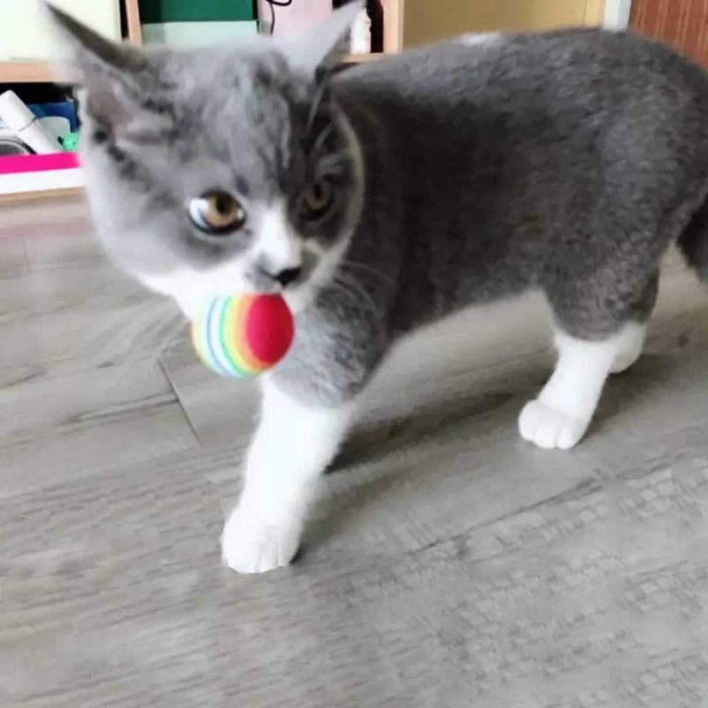 Игрушки для кошек, игрушки для котят, набор различных игрушек, включая интерактивную игрушку-прорезыватель для перьев, массажер для мыши, шарики, радужные шары B