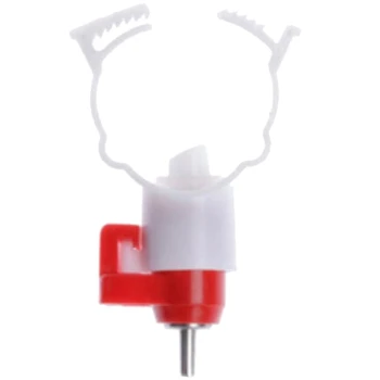 

100 Chicken Mouth Drinking Fountain Bayonet Diameter 30mm Chicken Tool Agricultural Equipment