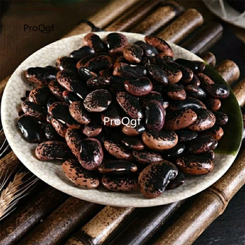 

Ngryise 500Pcs A Set Phaseolus coccineus