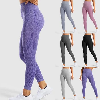 

High Waist Stretch Gym Leggings Seamless Shark Sports Leggings Running Sportswear Women Fitness Pants Yoga Pants Women