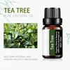 Tea Tree Essential Oil Steamer Wholesale Aromatherapy 100% Pure Natural Skin Care Therapeutic Grade Steam Sauna SPA Dedicated 5