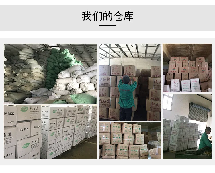 9120299801_505421671