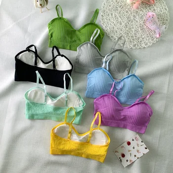 

Comfortable New Women Tank Crop Top Seamless Underwear Female Crop Tops Sexy Lingerie Removable Padded Camisole Fashion Tube Top