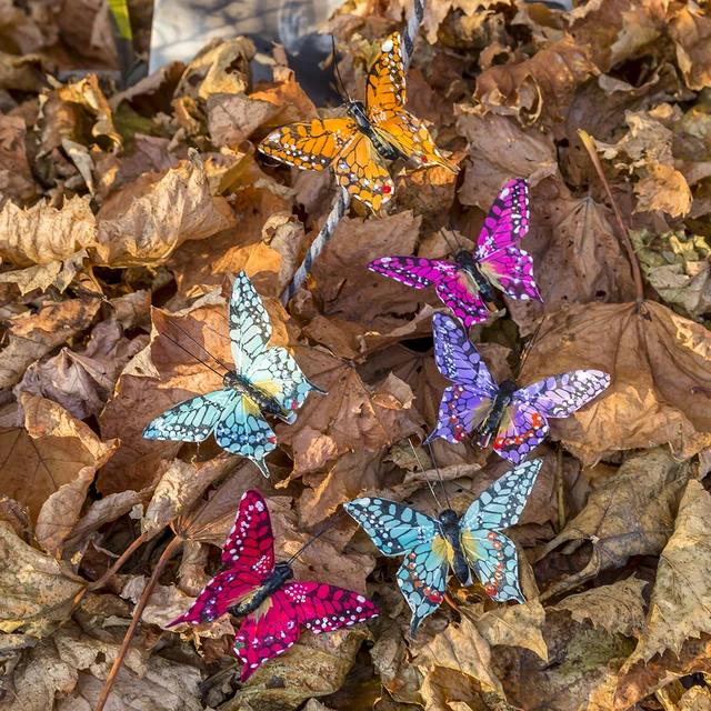 Csimuláció Festett Tollak Pillangók Dekorációs Halom Teraszdekoráció És Ilyesmi - Image 3