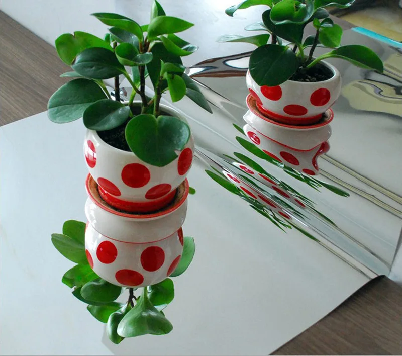 2369098569_1088068313