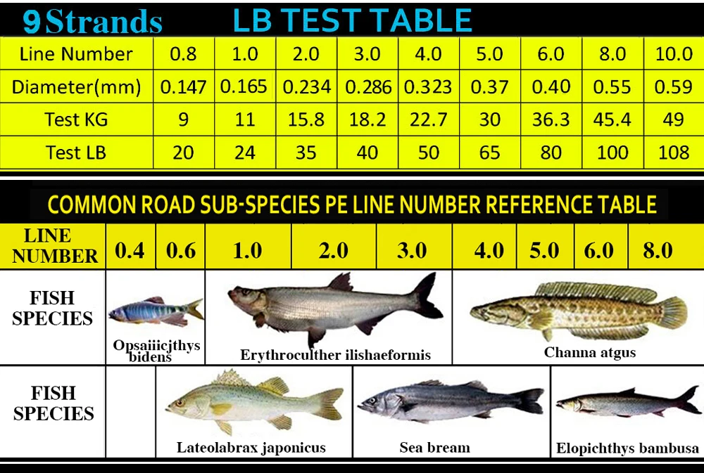 HTB1ocTsQXXXXXbgapXXq6xXFXXXG_02