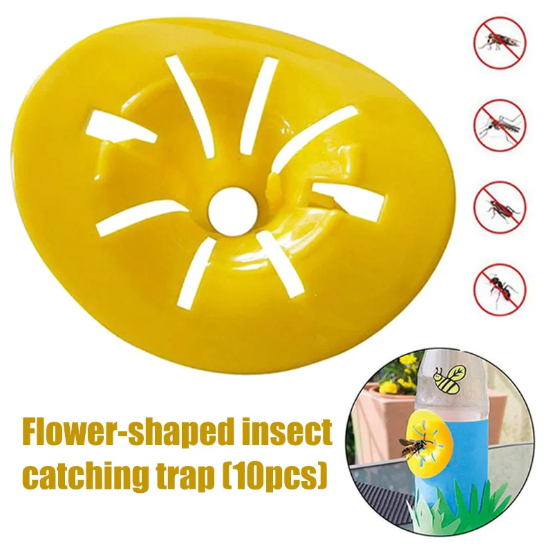 10 trampa avispas de trampa de avispa volar trampa escarabajo Control Hornet trampa abeja cosechadora apicultura herramienta trampa avispas