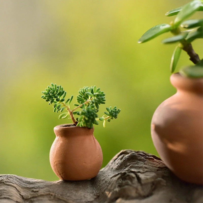 

2PCS Small Mini Terracotta Pot Clay Ceramic Pottery Planter Cactus Flower Pots Succulent Nursery Pots