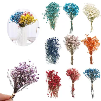 Colorful Natural Dried Flowers Small Natural Dried Floral Plants Mini Real Bouquets Home Decoration Photography Props Art Craft 1