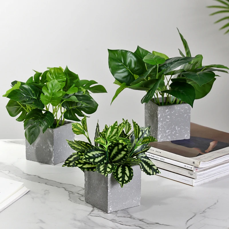 O1CN01qXOISg24JxyErYvlL_!!1904287371