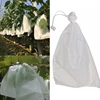 100Pcs Grape Protection Bags For Fruit Vegetable Grapes Mesh Bag Against Insect Pouch Waterproof Pest Control Anti-Bird Garden ► Photo 2/6