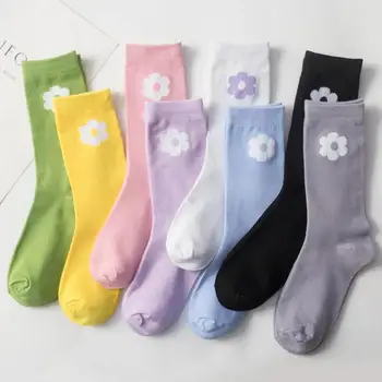 

Autumn and winter new style street photo solid color leg socks small flower socks Japanese long tube socks sweet girl socks