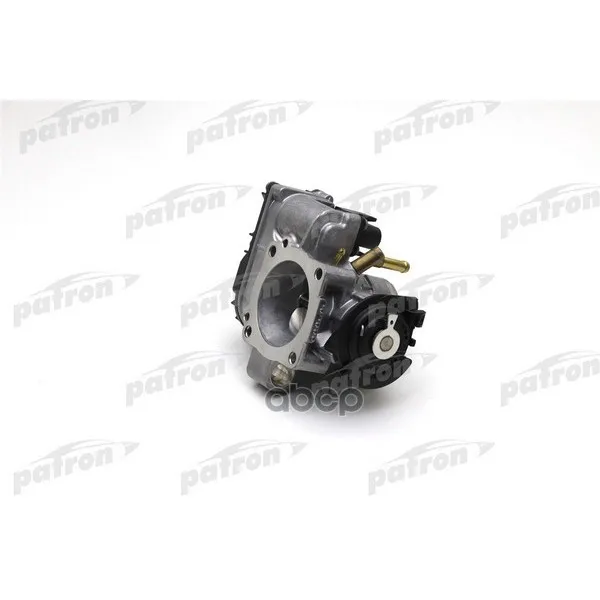 Блок Дроссельной Заслонки Vw: Golf Iv Cabriolet 2.0 98-02 PATRON арт. PTH037