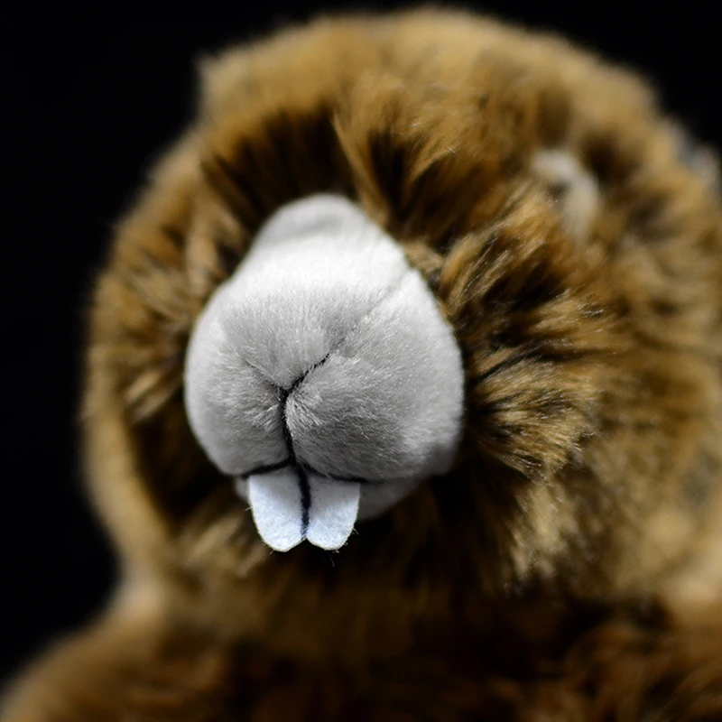 Милый Marmot настоящая жизнь плюшевая игрушка мягкая Sciuridae кукла реалистичные животные Prairie Набивная игрушка собака дети каваи Рождество grounhog подарок
