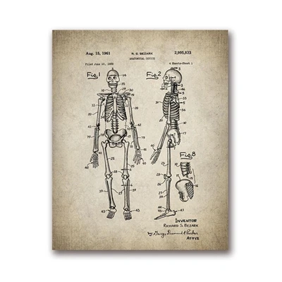 Современные картины настенные работы Винтаж Скелет Анатомия холст печать живопись модульная нордическая плакат гостиная Домашний медицинский Декор - Цвет: Nordic LXR4214-01