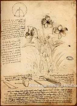 

Da Vinci manuscript Vintage Flowers Painting Pure cotton Canvas Wall Art Picture Home Decoration Living Room Canvas Print