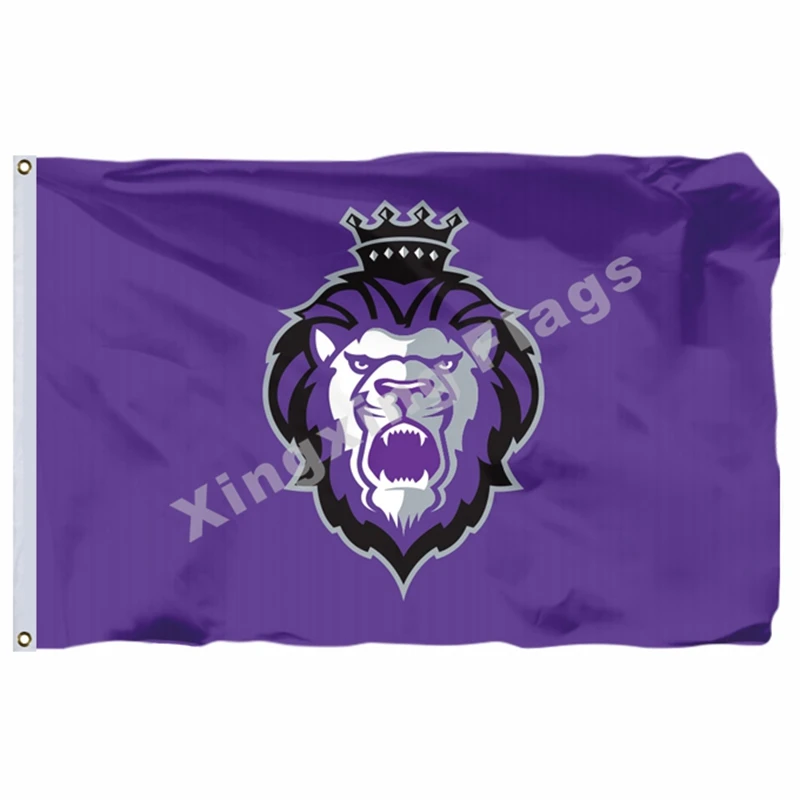Reading Royals Indy топливный флаг ECHL баннер с модифицированным флагом США 3ft X 5ft полиэстер летающий размер 90X150 см - Цвет: Reading Royals