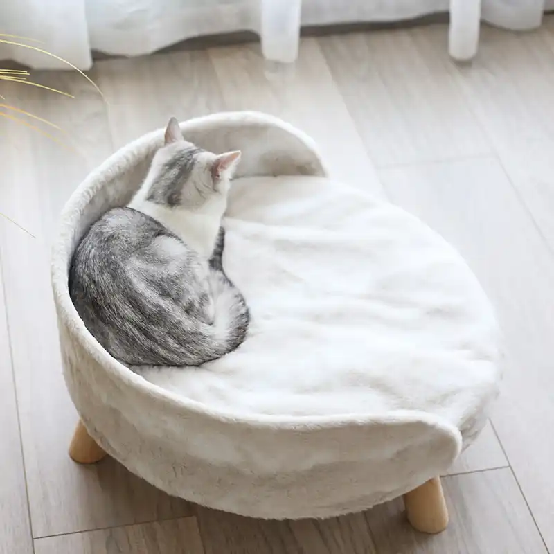 cat bed with legs