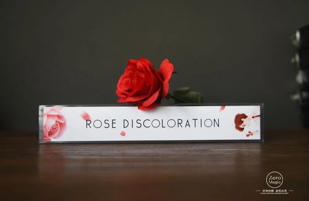 新玫瑰一变四  (2)