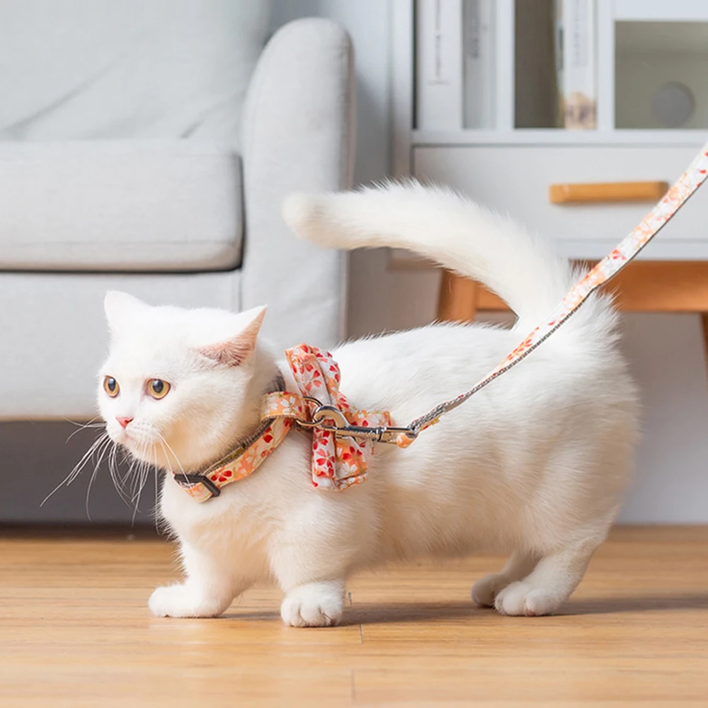Pet Cat Adjustable Harness Vest Walking Lead Leash For Puppy Cats Collar Polyester Mesh Harness For Small Medium Shorthair Pets