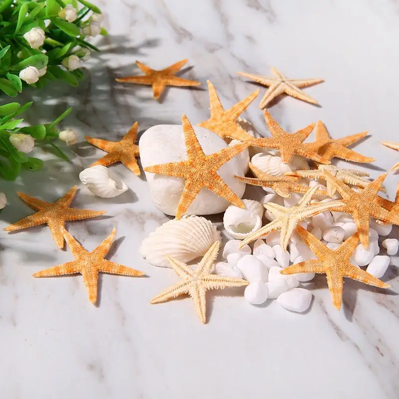 Natural Shell Ornaments Resin Starfish Ornaments Mini Real Starfish Craft Decoration Natural Sea Stars DIY Beach Cottage Wedding Decor sea shells party sea conch