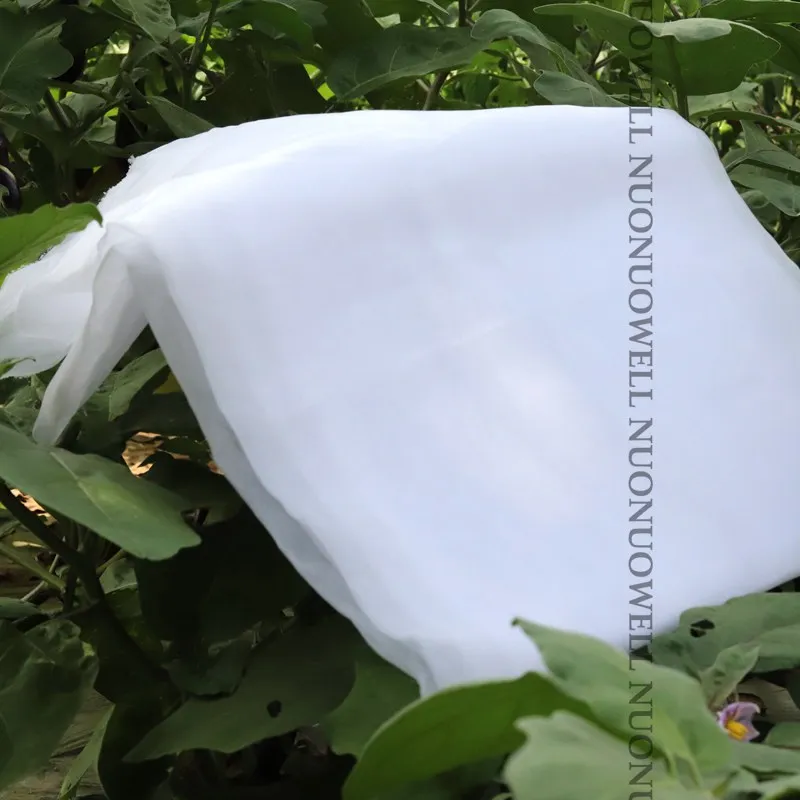 Slide image d642352f153c4bd3879fa906feaccce4