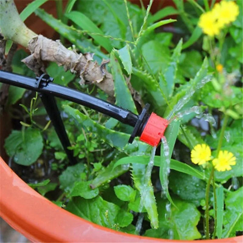 HTB1dxMkNFXXXXaDXVXXq6xXFXXXn