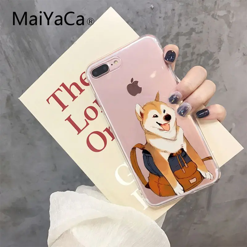 Shiba Inu Dog