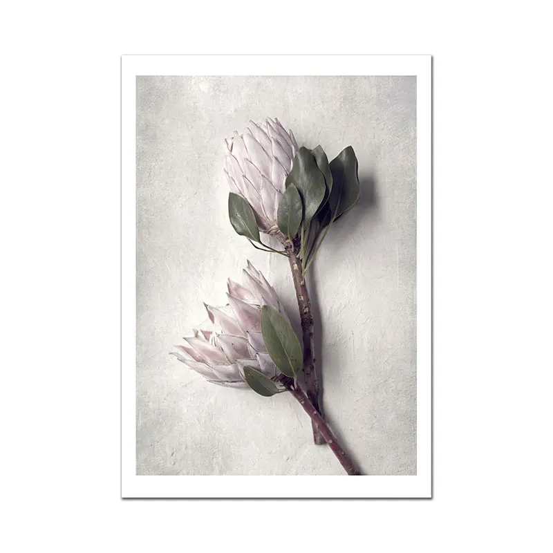 Protea художественный принт скандинавские цветы плакат растение холст картина фотография настенные художественные картины для гостиной современный домашний декор - Цвет: Picture 1