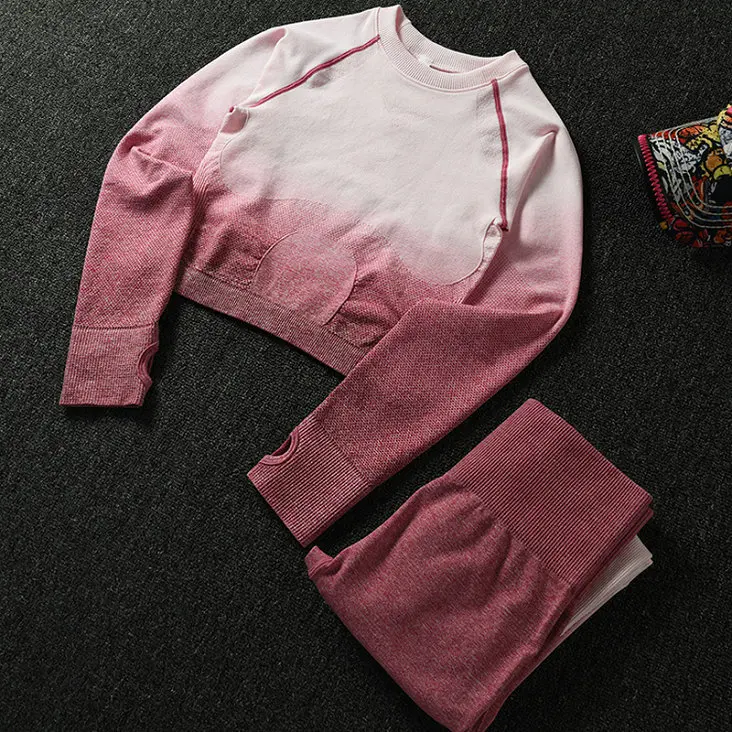 pinkset Комплект из 2 предметов, бесшовный Женский спортивный костюм с эффектом омбре, одежда для тренажерного зала, тренировочная одежда с длинным рукавом, укороченный топ для фитнеса и резинки на попе, леггинсы, комплект для йоги - Цвет: pinkset