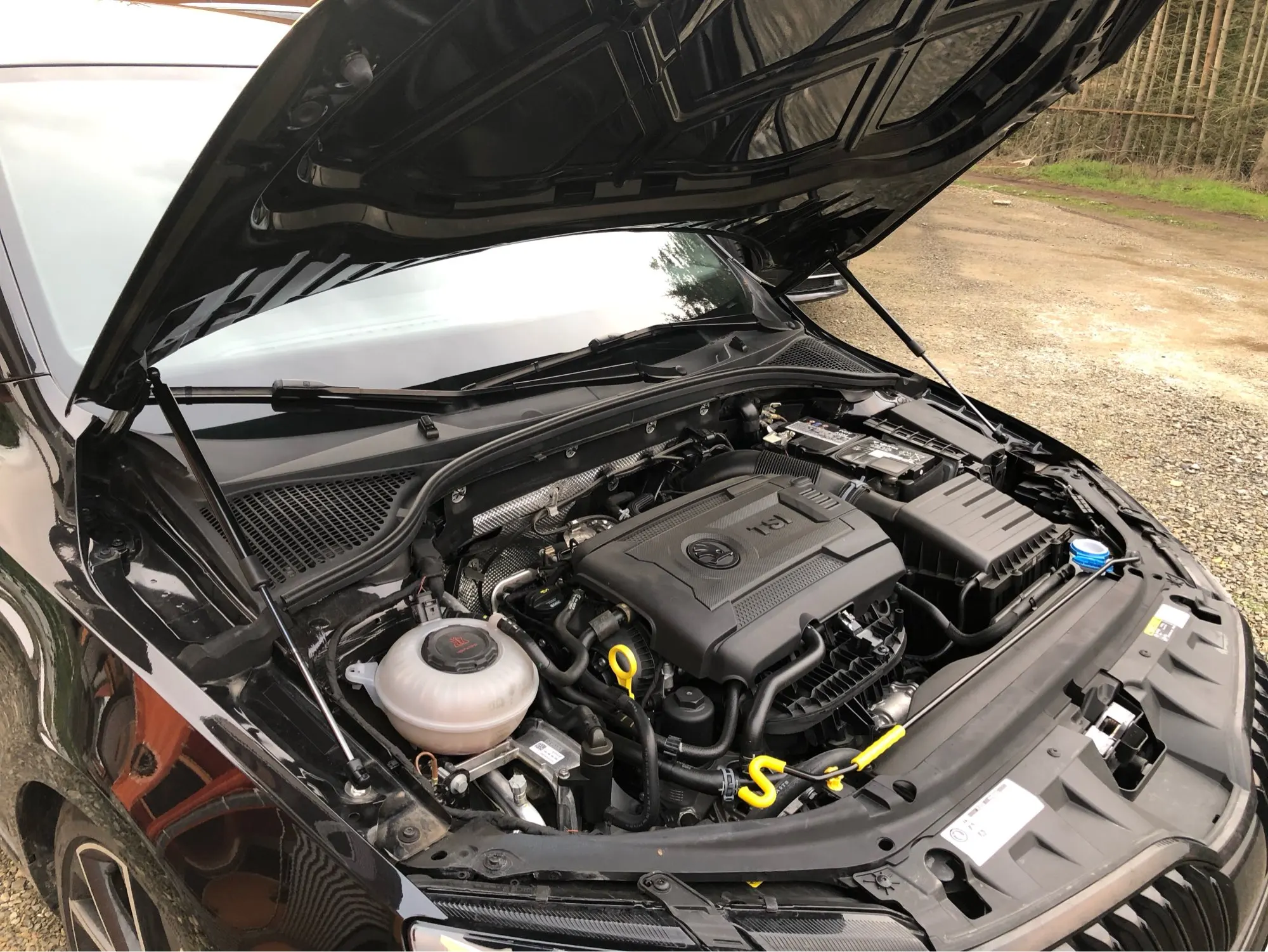 Skoda Octavia Mk3 5E  ĵ  Ǹ,  Ʈ Ʈ  ǽ ε ǰ,   , 2012-2019 