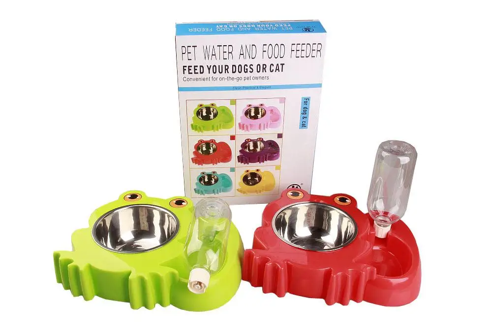 Squirrel frog cartoon dog drinking bowl (23)