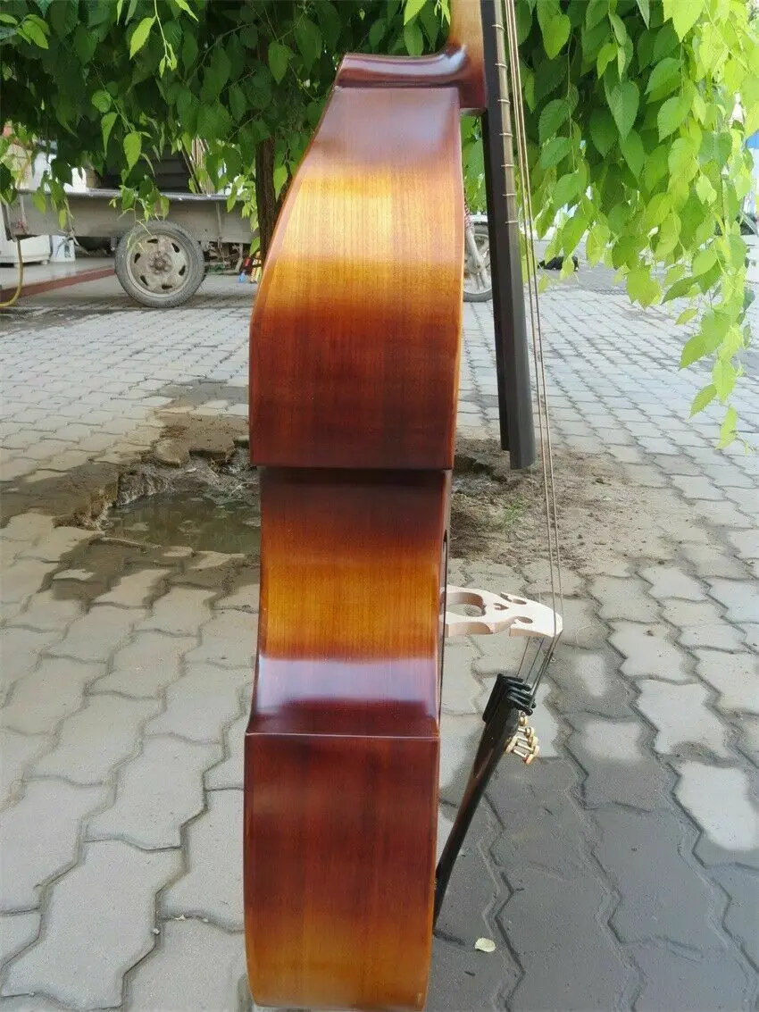 Твердая древесина песня бренд Maestro установить Лады 5 струн 2" viola da gamba