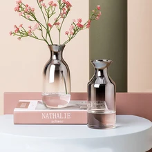 Скандинавские стеклянные вазы, украшение дома, серебро, градиент, сухие цветочные настольные горшки, Декор, орнамент, растения, держатель, мебель, Гидропоника